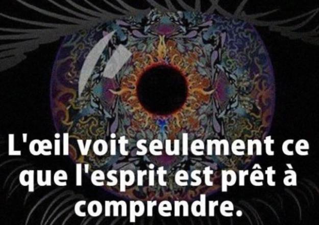 29101889_10156445334312018_6317198290215501824_n