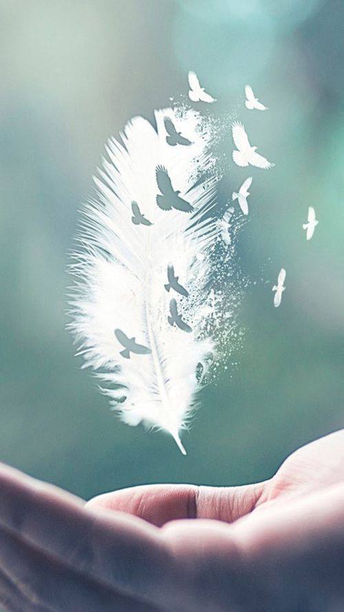 31634078_10155705938836491_8079258058473078784_n