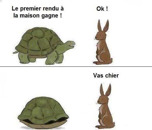 11350832_10206885260554629_4293207882819886585_n