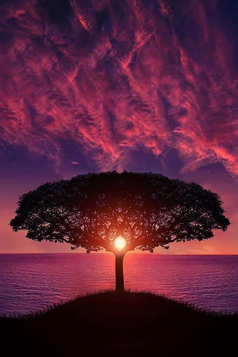 11665_970972012936330_8106509880875257111_n