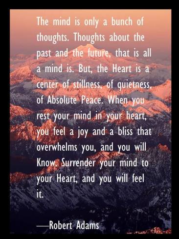 37017661_10155551253646179_2303202124017696768_n