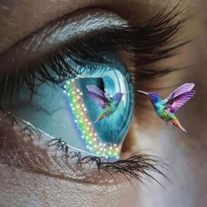 cropped-39946611_259433931358718_8941166164084523008_n