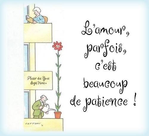 40093129_1829507160466880_164520620648824832_n