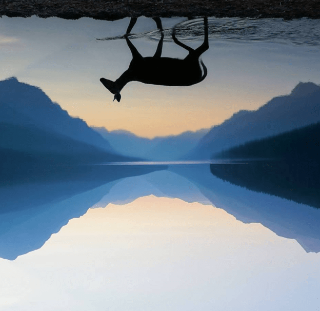 Capture d’écran 2018-09-20 à 15.03.47.png