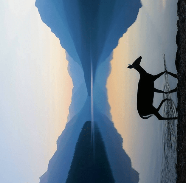 Capture d’écran 2018-09-20 à 15.46.45.png