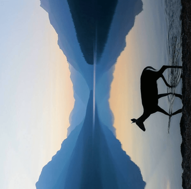 Capture d_écran 2018-09-21 à 06.12.27