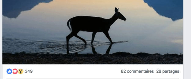 Capture d’écran 2018-09-30 à 08.16.16.png