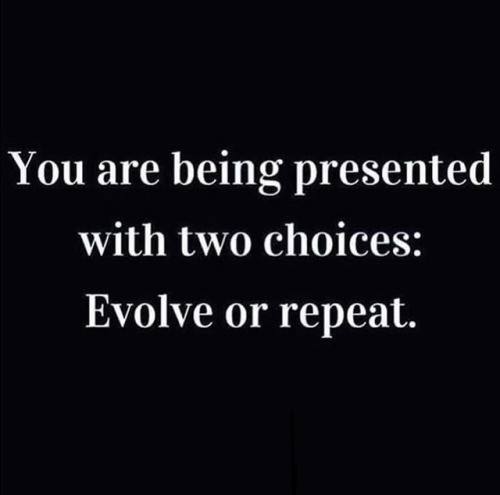44023497_10158281314006980_8010381506193129472_n