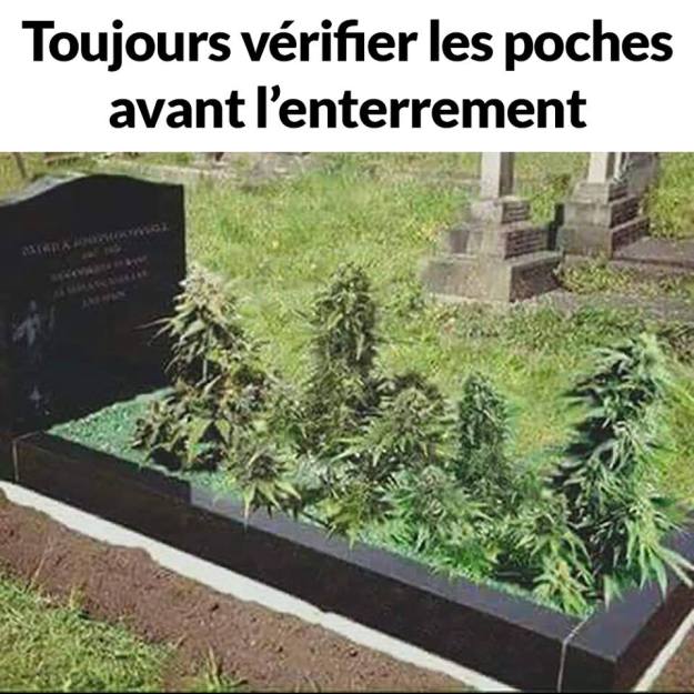 45375389_2026241347422624_8190641893491605504_n