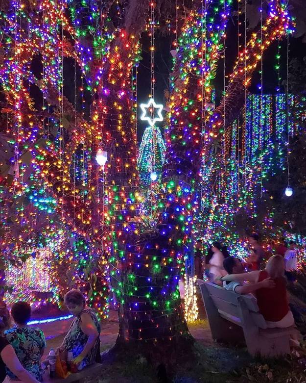 48413822_2009601682487523_2262773008449929216_n