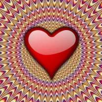 10689952_692803354132127_4229702877085538052_n