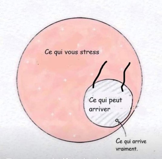 48404047_10217714391802249_146671956337360896_n