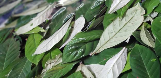 b876c84a-e82b-4798-9c06-341a8eaae8cd