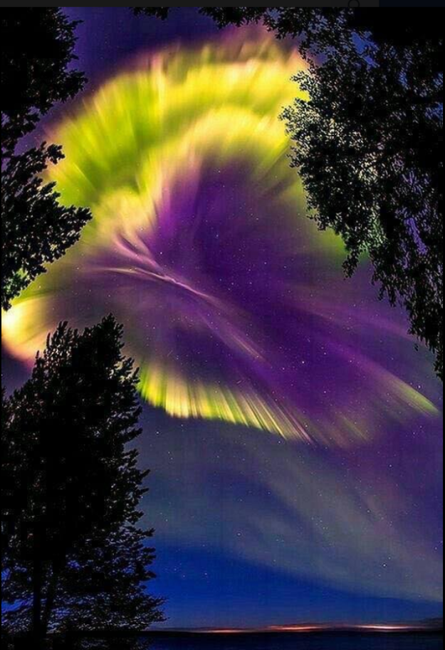 Capture d’écran 2019-03-16 à 05.00.45.png