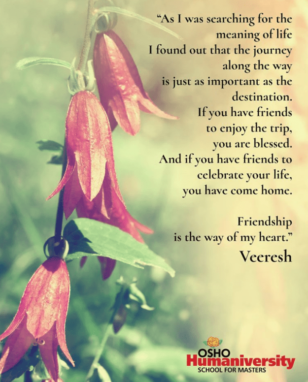 Capture d’écran 2019-03-16 à 12.24.42