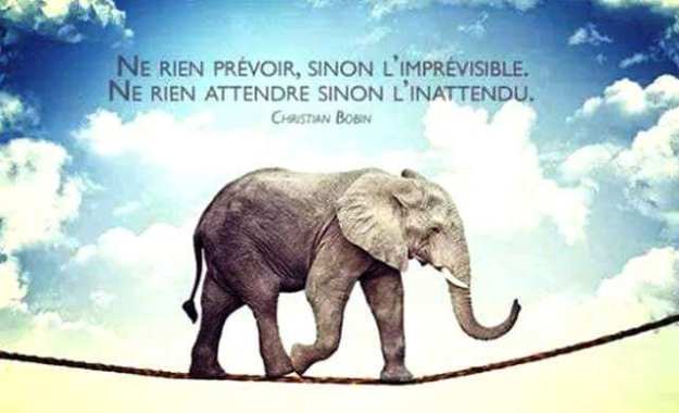 56487399_10156254763186662_4468441454582169600_n