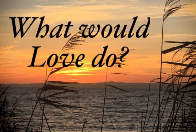 Capture d’écran 2019-04-15 à 06.55.25.png