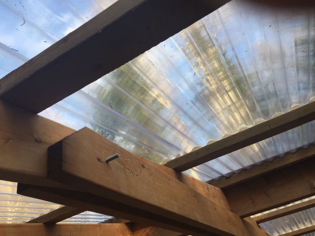 61323255_287666162140509_3012955335221575680_n