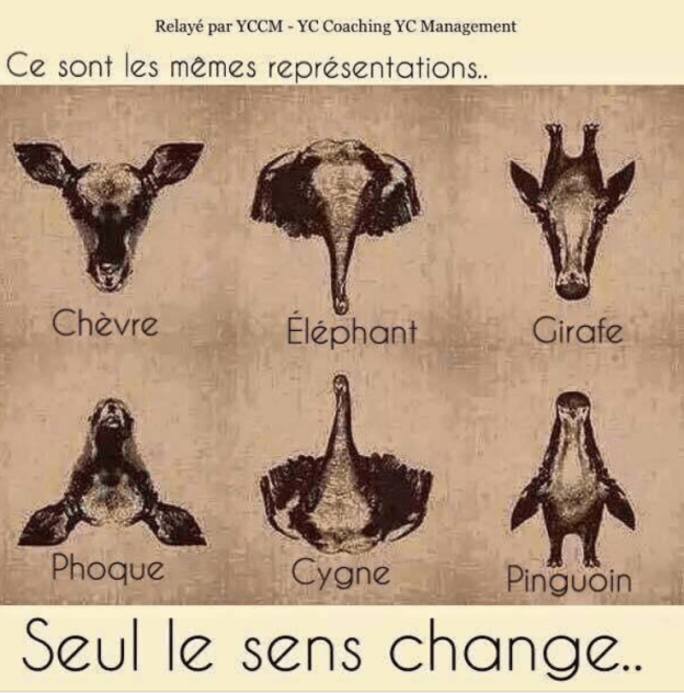 Capture d’écran 2019-05-05 à 08.27.30.png