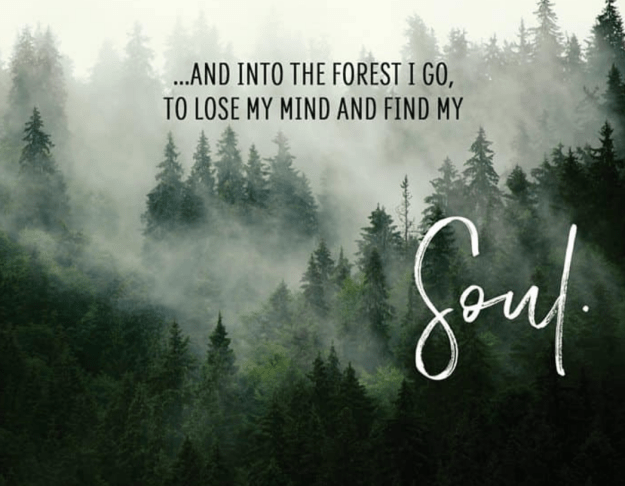 Capture d’écran 2019-03-15 à 04.29.09.png