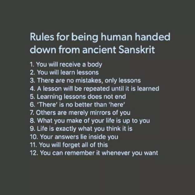 69170515_2452119831533732_7470644090070106112_n