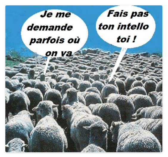 Capture d’écran 2019-12-09 à 06.49.59.png