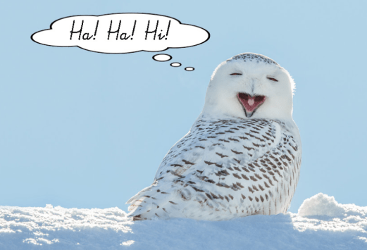 Capture d’écran 2020-01-28 à 17.26.41