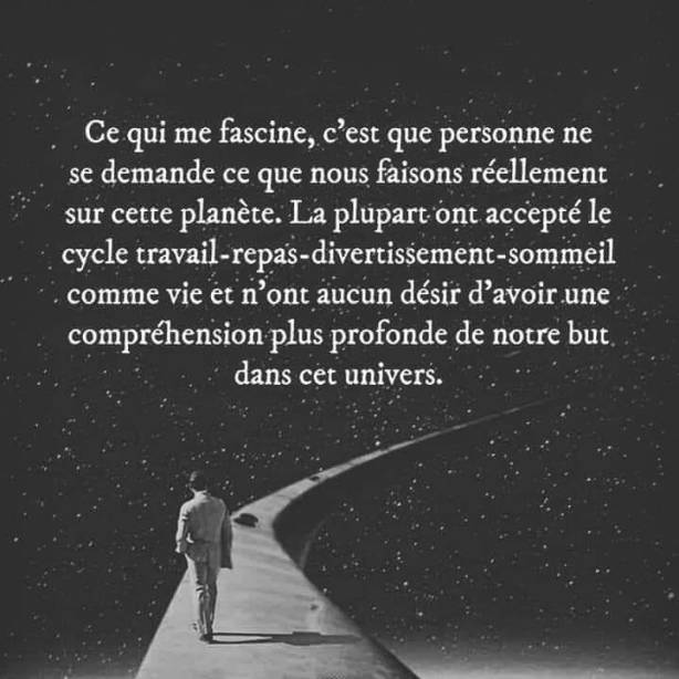 82442524_1292595654274249_6758364716541673472_n