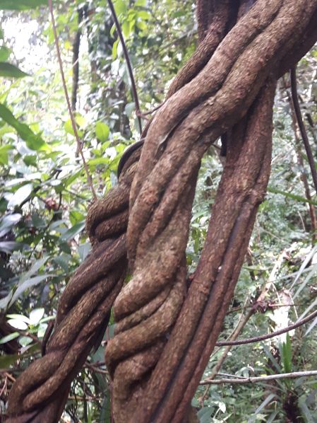 87343524_567086620555533_7867030663382171648_n