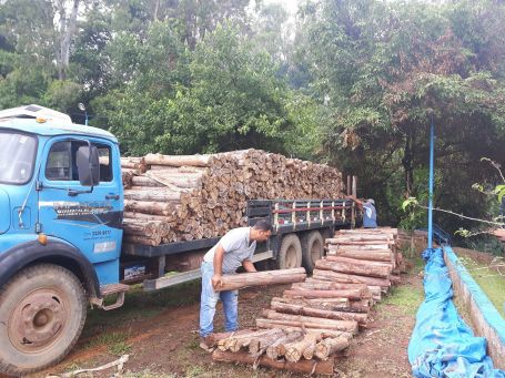 87392547_876813396082069_3638344307716390912_n