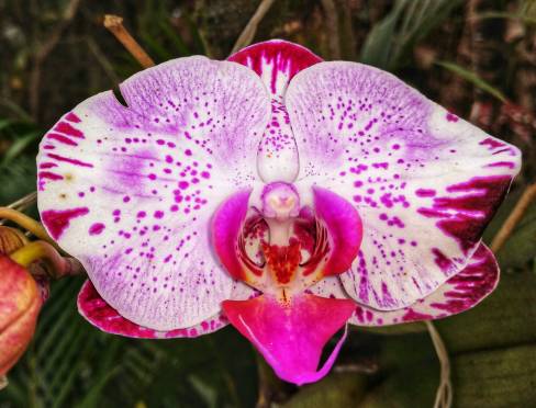 78e768a3-5ac1-42d6-92a6-39381a4587d3