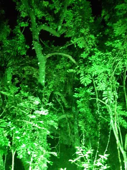 88985479_2763540807046488_4659639942467551232_n