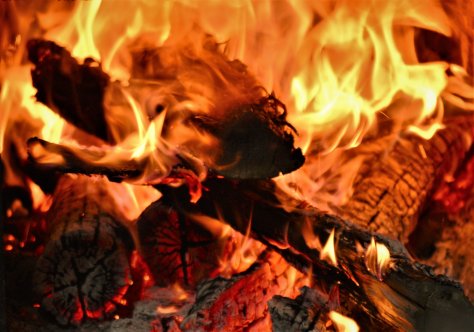 89060246_2785221974878580_8507354285137199104_o