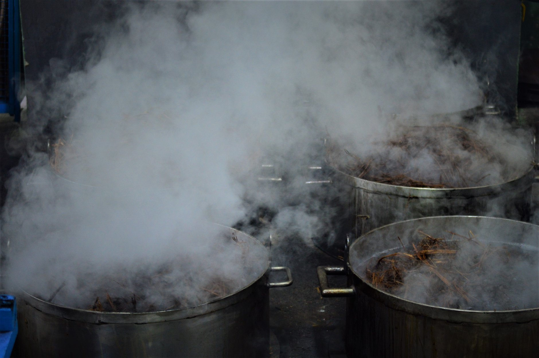 89226817_2785220214878756_9054790911174639616_o