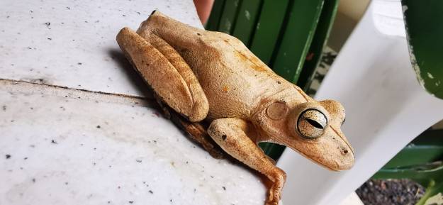 8e284d4d-7f5b-4e35-869c-910edb169679