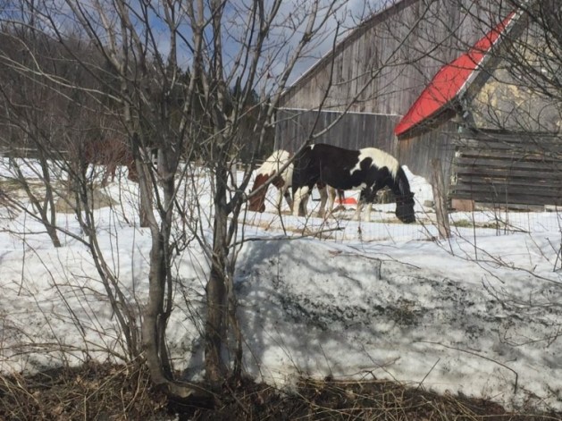 91064829_831319457370378_445440270973009920_n