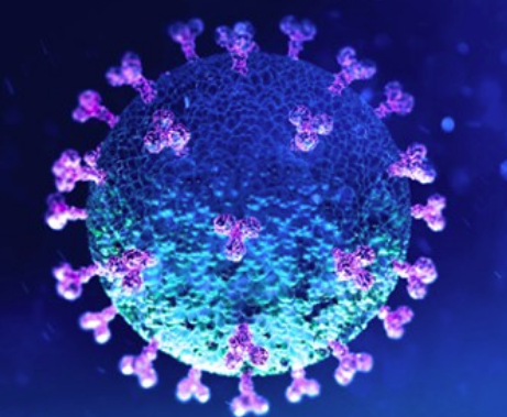 Capture d’écran 2020-03-19 à 08.36.53