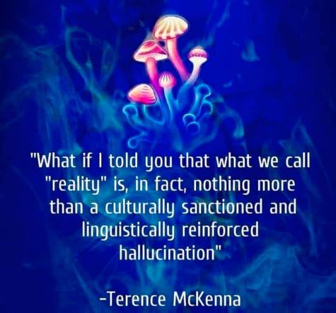 92434312_10218744377455304_2112820500257308672_n