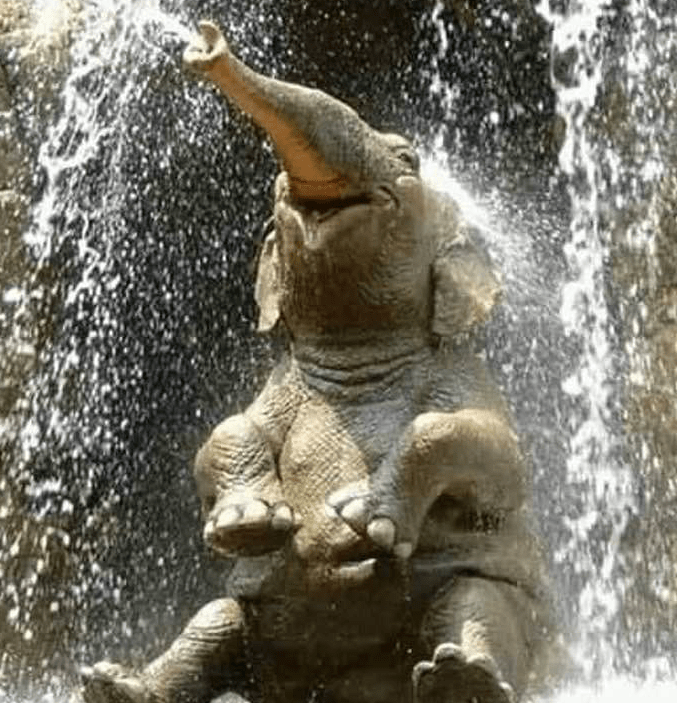 Capture d’écran 2020-04-30 à 06.52.25.png