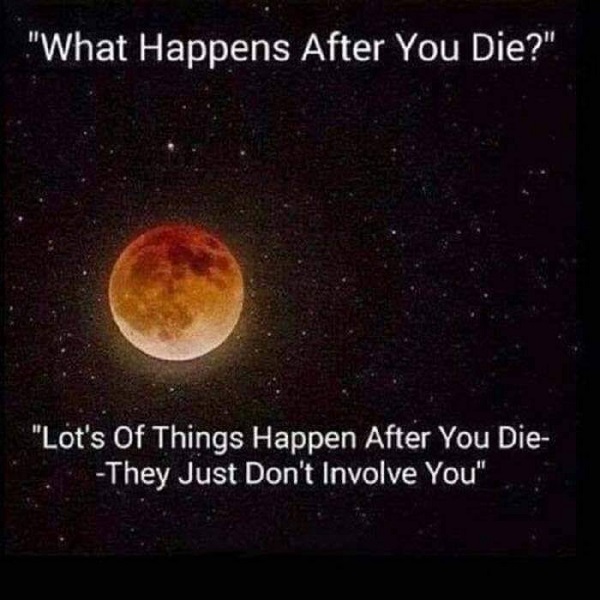 100744542_2829419520502848_7089823960002461696_n