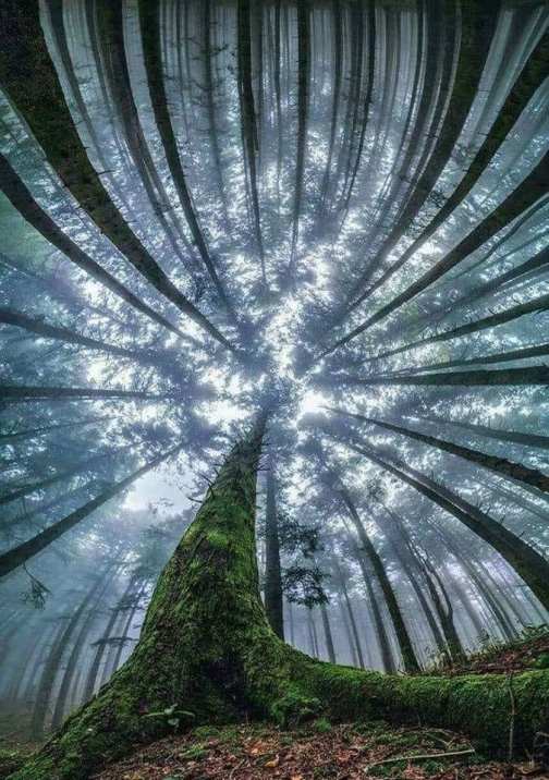 106461181_3020127964702991_9115833916042099343_n