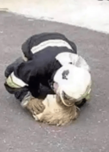 Capture d’écran 2020-07-09 à 06.52.47