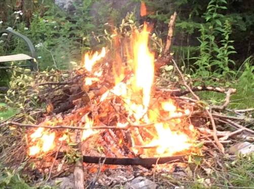 117260363_3304720969590242_3381046137808126731_n