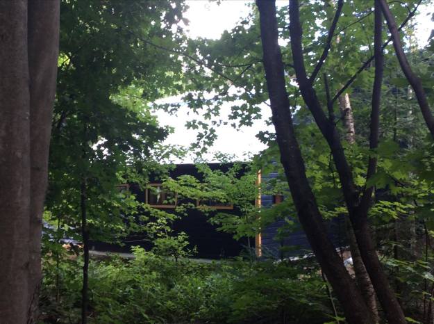 118194435_1167436640296252_8039020929771821410_n